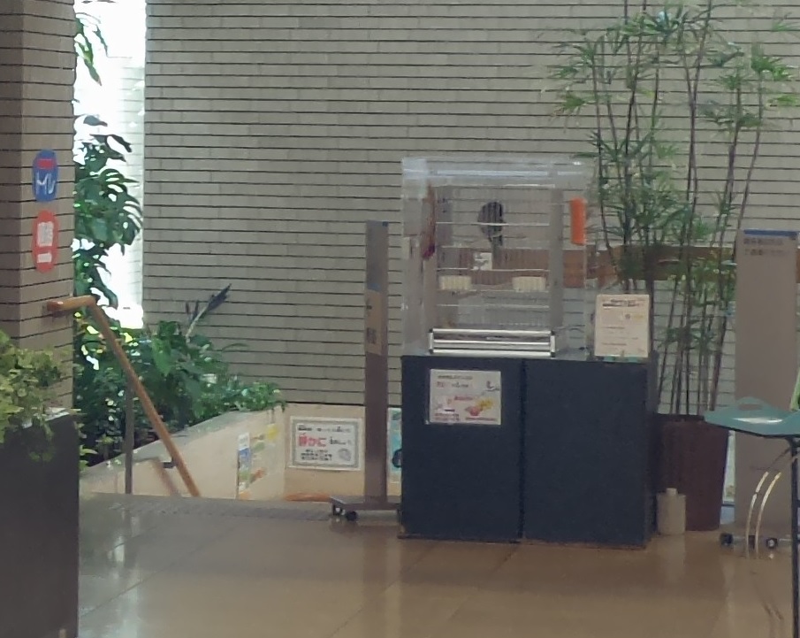 板橋に水族館 激安で子連れにちょうどいいサイズ感の 板橋区立熱帯植物館 潜入レポート 三本ねっと