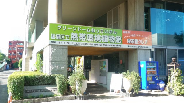 板橋に水族館 激安で子連れにちょうどいいサイズ感の 板橋区立熱帯植物館 潜入レポート 三本ねっと