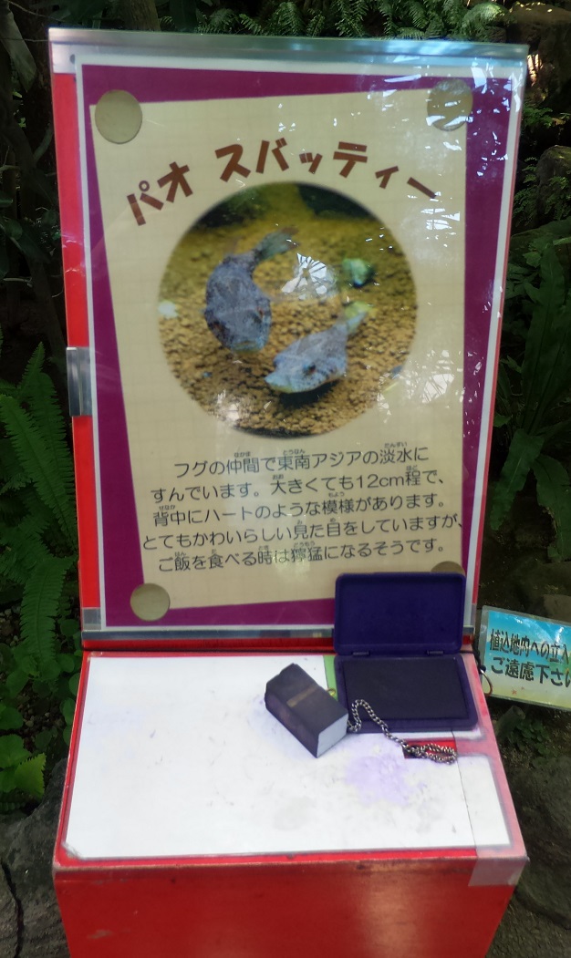 板橋に水族館 激安で子連れにちょうどいいサイズ感の 板橋区立熱帯植物館 潜入レポート 三本ねっと