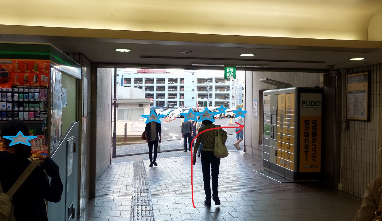 町田リス園に子連れで行ってみた実録レビュー 空いてるときに行ったほうがいいかな 三本ねっと